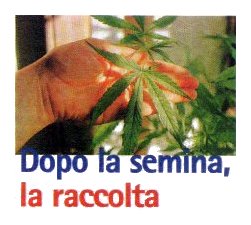 Dopo la semina 