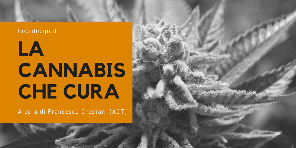 La rubrica sulla Cannabis Terapeutica di Fuoriluogo.it