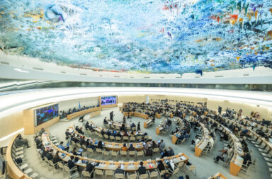 Consiglio Diritti Umani, Ginevra (General view of the Human Rights Council. Credit: UN Photo by Pierre Albuoy, CC BY-NC-ND 2.0)