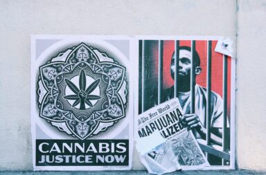 legalizzazione giustizia cannabis diritti